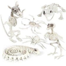 6 PACK HALLOWEEN SKELETON