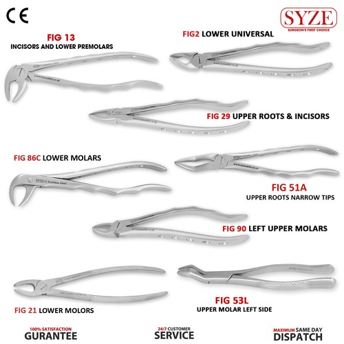 Surgical extraction forceps - surgical,