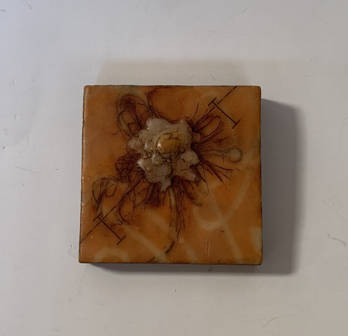 Diane kleiss encaustic art - diane,