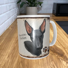 Peruvian hairless dog 11oz - dog,