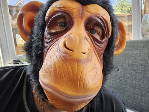 Chimpanzee monkey mask - monkey,