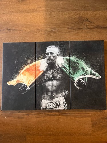 Conor mcgregor piece wall - 3,