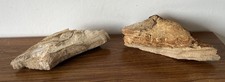 2 DRIFTWOOD LOG BRANCH Large
