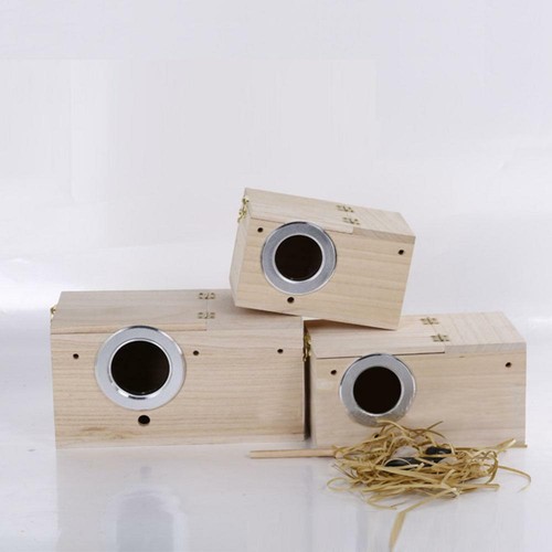 Parakeet nest box - parakeet, budgie