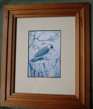 John Dolton signed picture green Woodpecker 