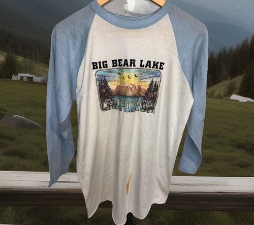 Vintage 1970 big bear lake - bear,