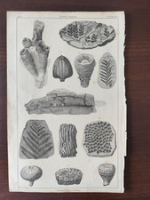  ANTIQUE ORIGINAL B/W