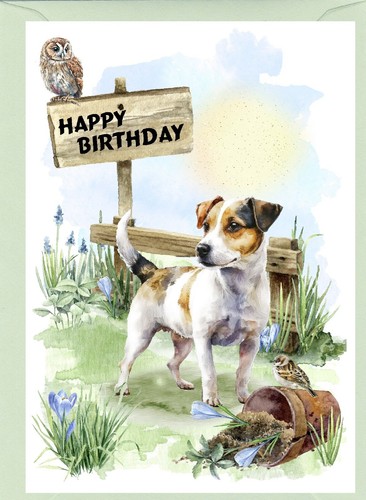 Jack russell terrier - jack, (4"x