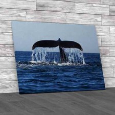Humpback Whale Tail Original