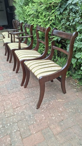 Set dining chairs - dining,