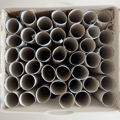 Empty toilet roll tubes - 84,