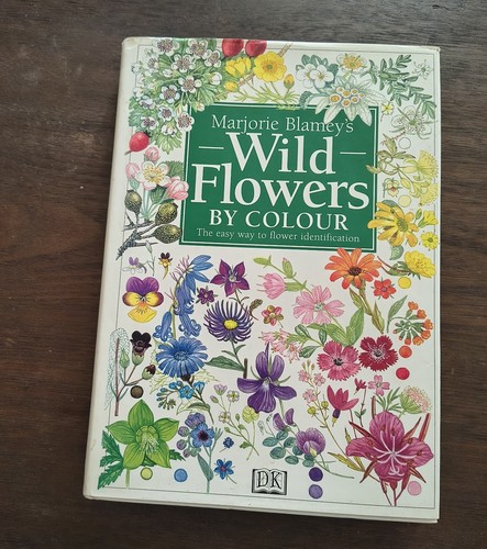 Wild flowers colour by - flowers,