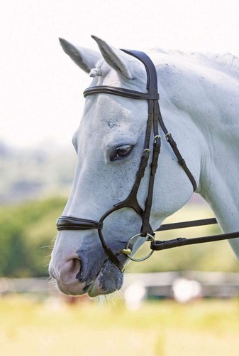 Shires velociti rapida - shires, rolled