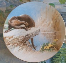 otter plate