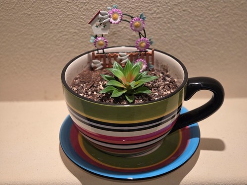 Large blue multi striped - blue/multi,