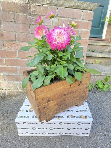 Wooden garden decking planters - garden,
