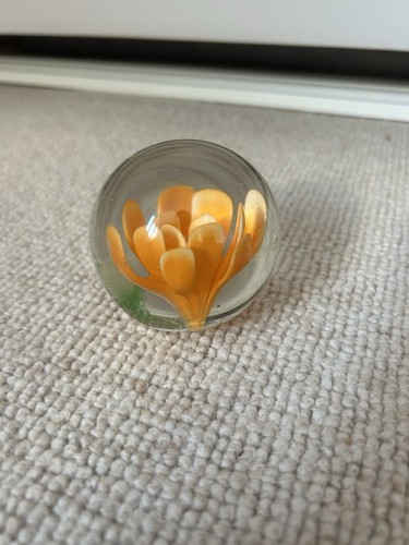 Orange floral glass - orange,