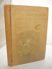 1899 - Our Rarer British