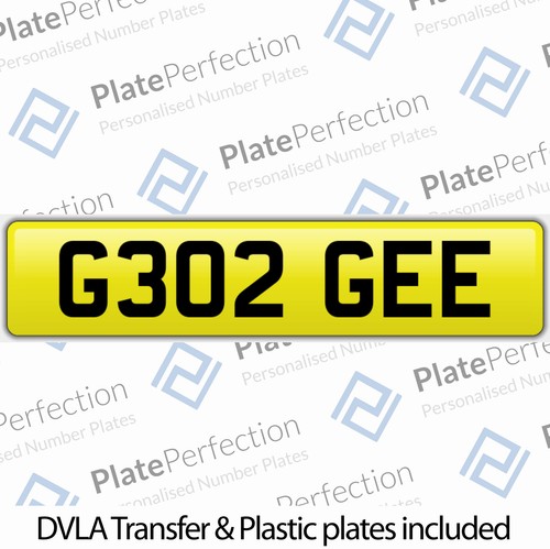 G302 gee george georgie - gee,