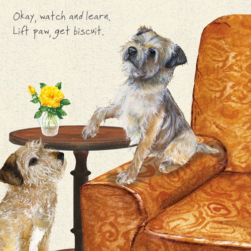 Little dog laughed border - laughed,