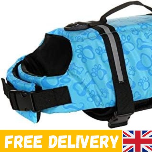 Dog life jacket swimming - dog,