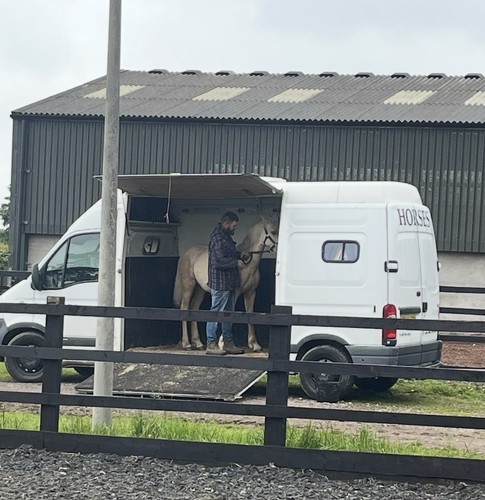 Vauxhall horsebox 3 5 - vauxhall, 3.5