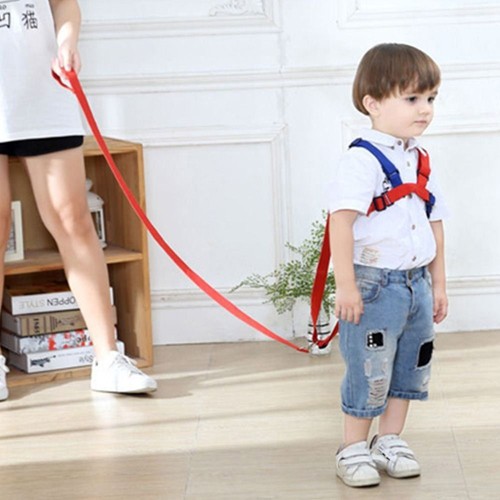 Reins baby child - child, toddler
