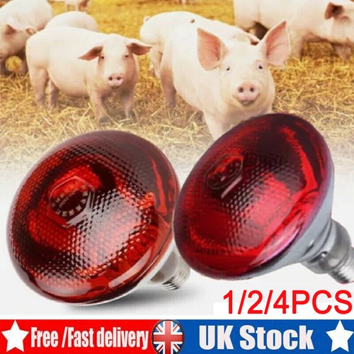 Infra red heat bulb lamp - infra,