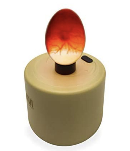 Hand held egg candling - held,