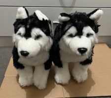 Siberian husky puppy - puppy, dog