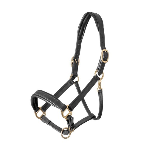 Shires velociti gara - shires,