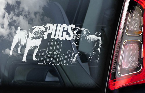 Pugs board car window - on, board,