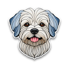 Maltese Dog Puppy Stained