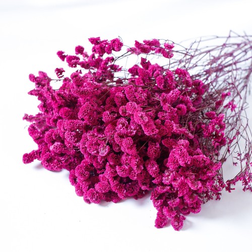 120g german statice limonium - 120g, (