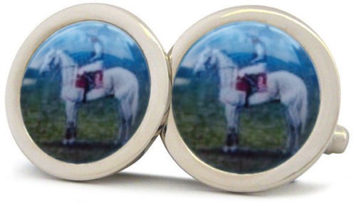 Desert orchid horse racing - orchid,