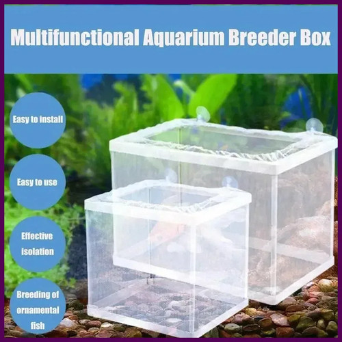 Aquarium fish tank guppy - aquarium,