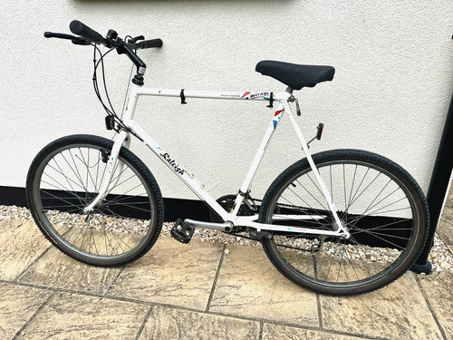 Vintage raleigh bike - vintage,