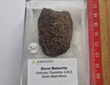 Boxed  Stone Chondrite Meteorite  - 25.43 Grams  - Nicely Presented With Certifi
