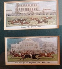 Vintage Horse racing