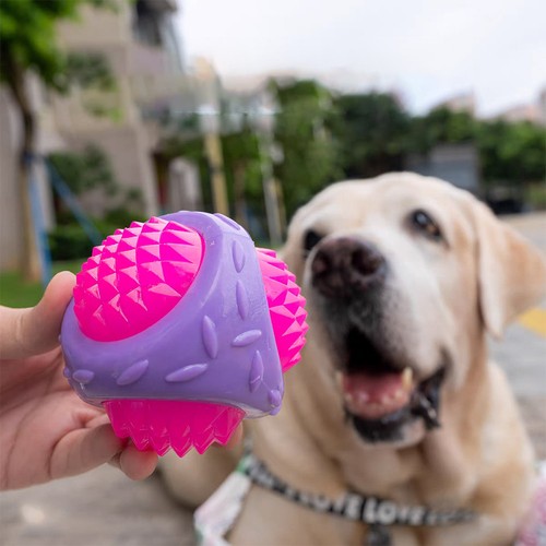 Flashing squeaky dog balls - flashing,