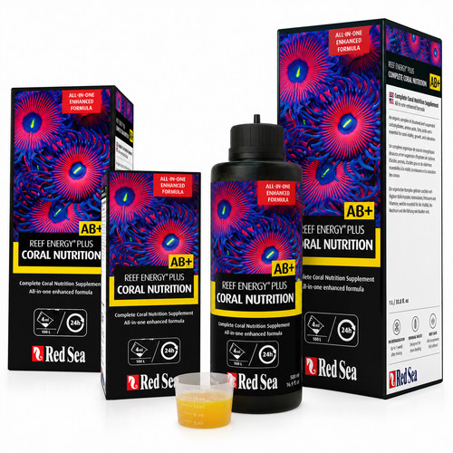 Red sea reef energy - sea, plus