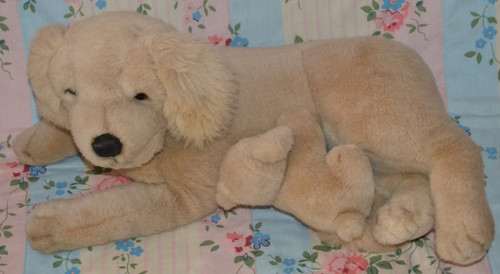 Vintage golden retriever - vintage, &