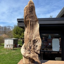 Standing driftwood 17x3x6 - standing, –