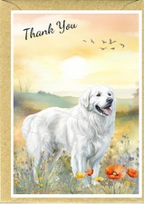 Pyrenean mountain dog thank - dog,