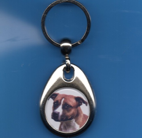 Dog keyring staffordshire bull - staffordshire,