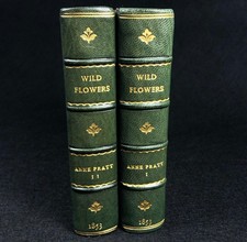 Wild Flowers ~ Anne Pratt ~ 1853 1st Edition 2 Volumes Fine Binding Botanical