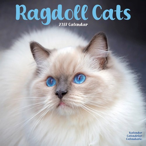 Ragdoll cats calendar 2027 - ragdoll,