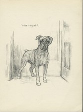 BOXER LOVELY VINTAGE 1960'S CAT DOG K F BARKER ART PRINT