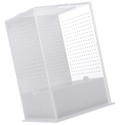Gecko accessories reptile - , box
