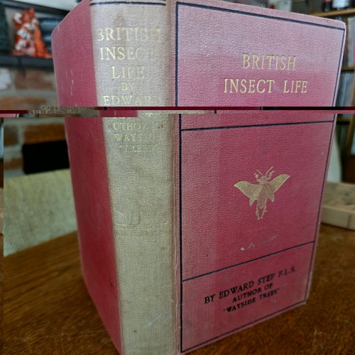 British insect life edward - by,